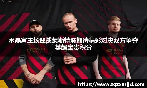 水晶宫主场迎战莱斯特城期待精彩对决双方争夺英超宝贵积分