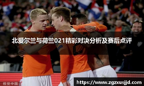 北爱尔兰与荷兰021精彩对决分析及赛后点评